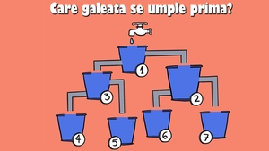 Test de logică | Care dintre cele 7 găleți se va umple prima cu apă?