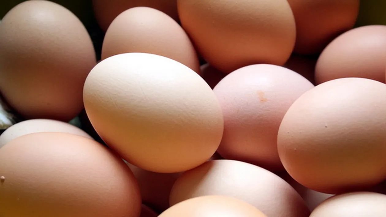 Nu o sa-ti vina sa crezi ce fel de ou a gasit in gospodaria sa! Barbatul nu s-a indurat sa-l gateasca!