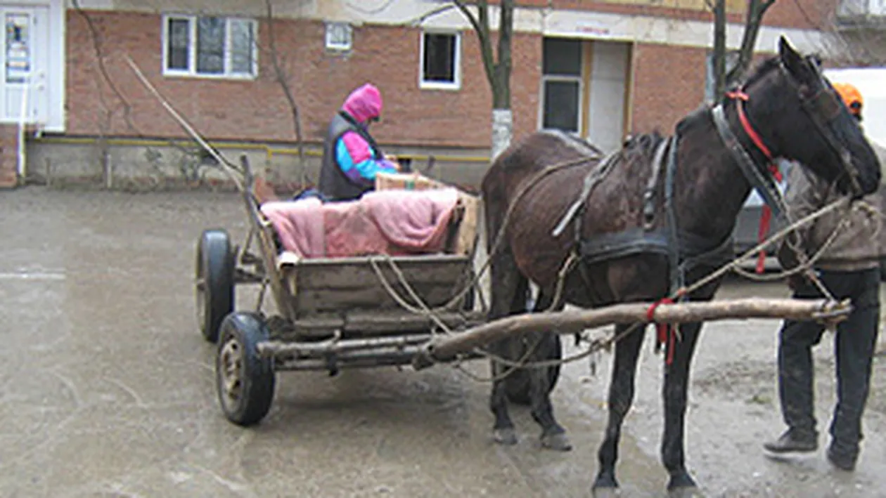 O batrana beata a bagat in spital o fetita de sase ani