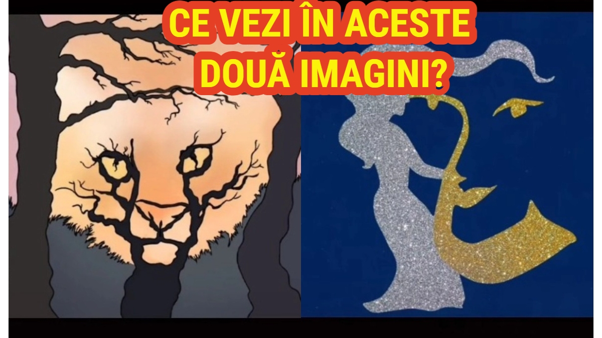 Iluzia optică înnebunitoare care îţi spune dacă eşti deschis la minte sau nu. Ce ţi-a apărut prima dată în minte când te-ai uitat la această poză?