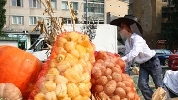 Parcul Lumea Copiilor, burdusit cu bunatati! Ziua Recoltei, sarbatorita zece zile