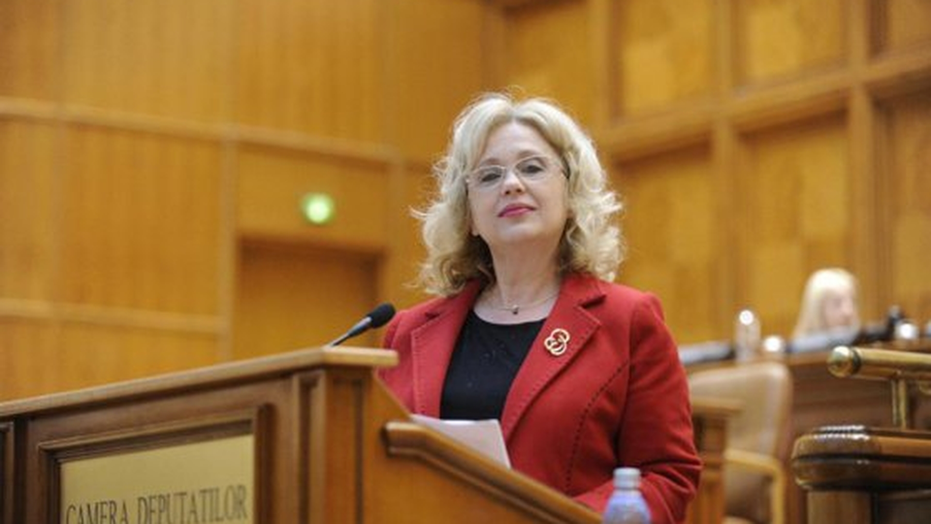 Cine este Camelia Gavrilă, propusă de Viorica Dăncilă la conducerea ministerului Educației