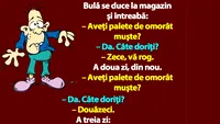 BANC | Bulă se duce la magazin şi întreabă: Aveţi palete de omorât muşte?