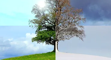 Orașul din România care a avut 2 anotimpuri în aceeași zi! De la iarnă, la primăvară și apoi iar IARNĂ