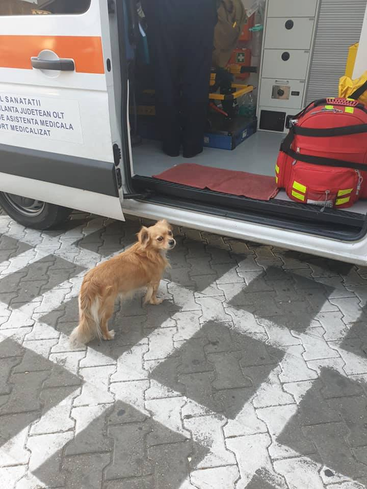 Bobiță nu s-a dezlipit de ambulanță