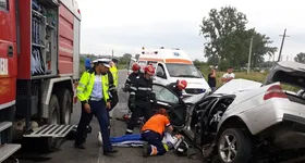 Galerie foto - poza 3