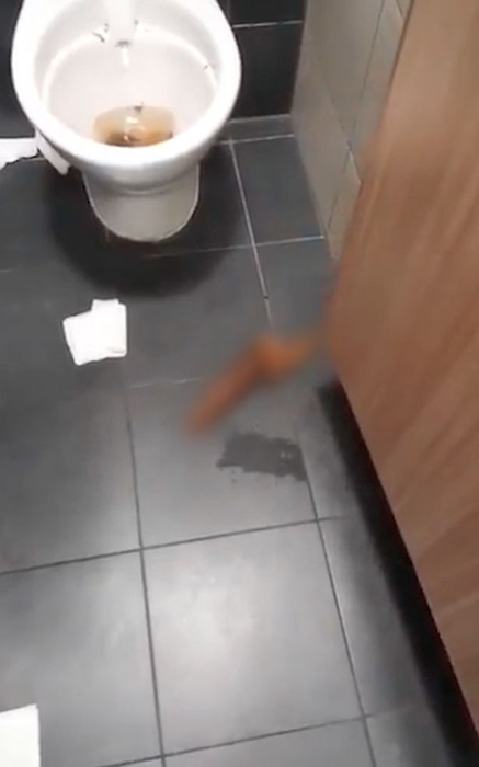 Descoperirea absolut grețoasă făcută de un client într-un restaurant McDonalds. ”Mi-am aruncat imediat ouăle cu șuncă la gunoi”