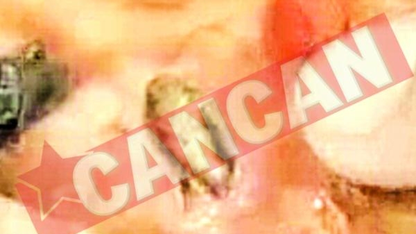 A gasit un gandac de bucatarie In pizza