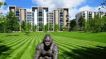 Olimpicii au conditii de lux la Londra!Uite cum arata camerele din complexul de 1,1 miliarde de lire sterline unde vor dormi gimnastii si canotorii romani!