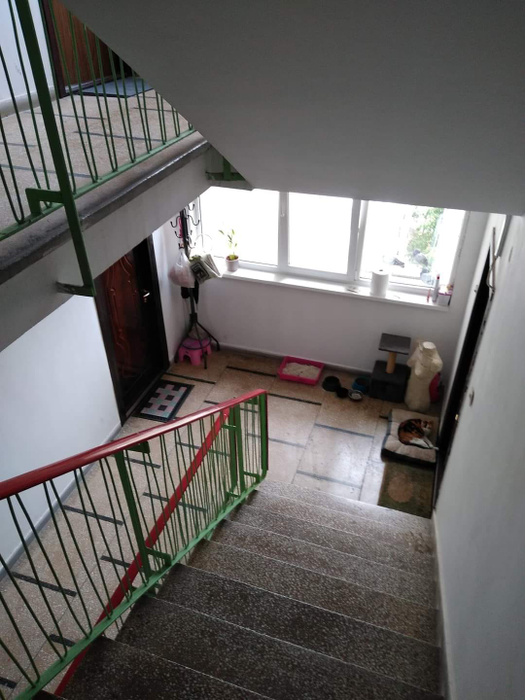 „Frumușica” și-a făcut „casă” din scara de bloc. Povestea virală a pisicii care și-a acceptat singurătatea, la 20 de ani