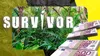 Concurenții de la Survivor se întorc în țară! Cine sunt finaliștii care se vor lupta pentru premiul de 100.000 de euro
