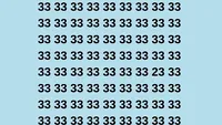 Test de perspicacitate | Nu toate numerele din imagine sunt 33. Care este cel diferit?