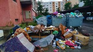 O româncă riscă să fie amendată pentru că a strâns gunoiul de pe stradă la Roma