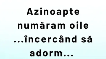 BANC | De ce se numără oile noaptea