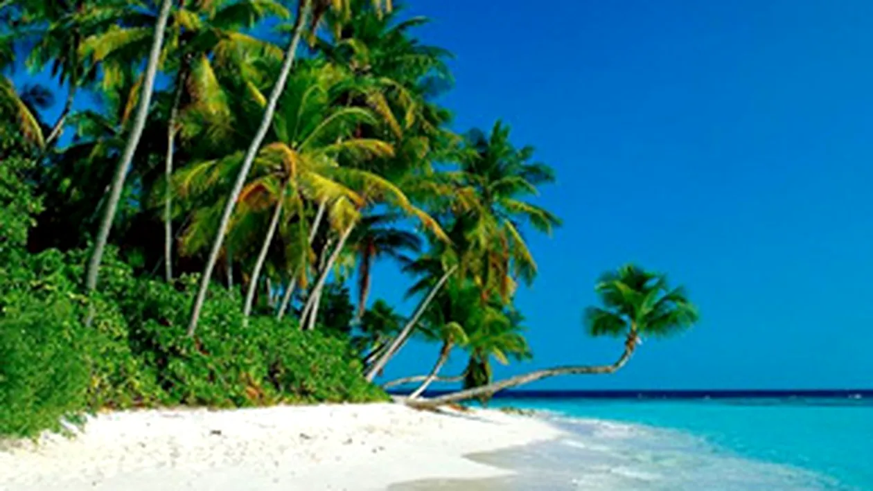 Visul oricarui angajat: sa lucreze ca tester de luna de miere