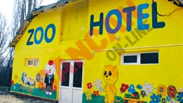 Maimutele de la Zoo Oradea s-au mutat la hotel