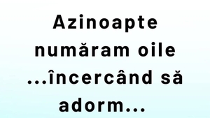 BANC | De ce se numără oile noaptea