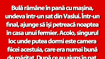 BANC | Bulă și fata fermierului din Vaslui