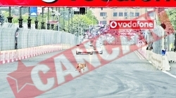 Povestea lui Tiki, maidanezul-vedeta de la Formula 3