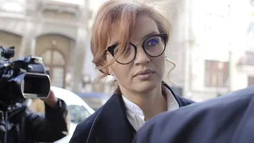 Procurorii DIICOT, percheziții la reședința Ioanei Băsescu. Este vizată și ea într-un dosar controversat