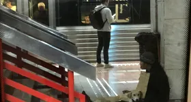 Galerie foto - poza 3