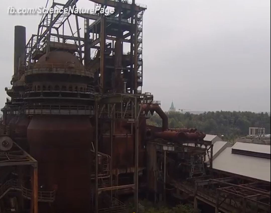 Cum ar arăta Terra dacă toți oamenii ar dispărea. Imagini virale în plină pandemie COVID-19