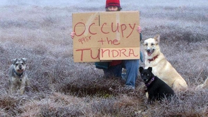 Miscarea "Ocupati Wall Street" a ajuns si in Alaska. O femeie a protestat singura
