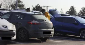 Galerie foto - poza 1