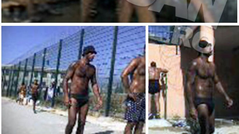 Cancan.ro a patruns in SUBTERANELE unui transport de 700 kg de cocaina! Sotul unei vedete, plasat in umbra intregii povesti