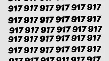 TEST IQ | Găsiți singurele două numere diferite de 917