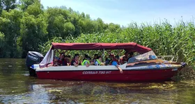 Galerie foto - poza 2