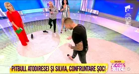 Galerie foto - poza 4