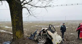 Galerie foto - poza 4