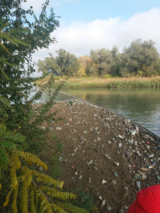 Poluarea cu plastic pe Jiu este mai intensă toamna