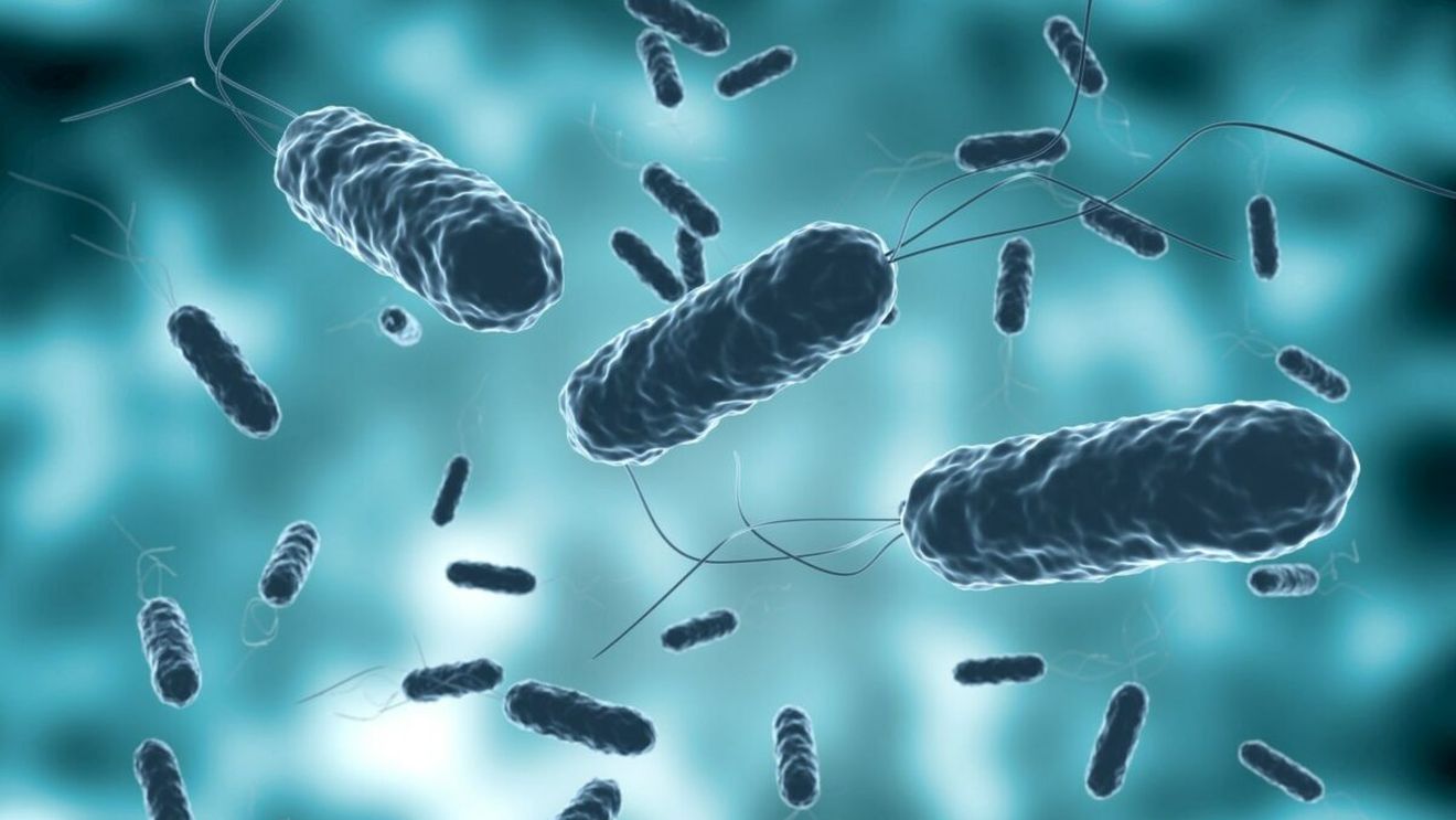 Alertă de epidemie de holeră! Bilanțul cazurilor: 58 de morți și 250 de persoane infectate în această țară