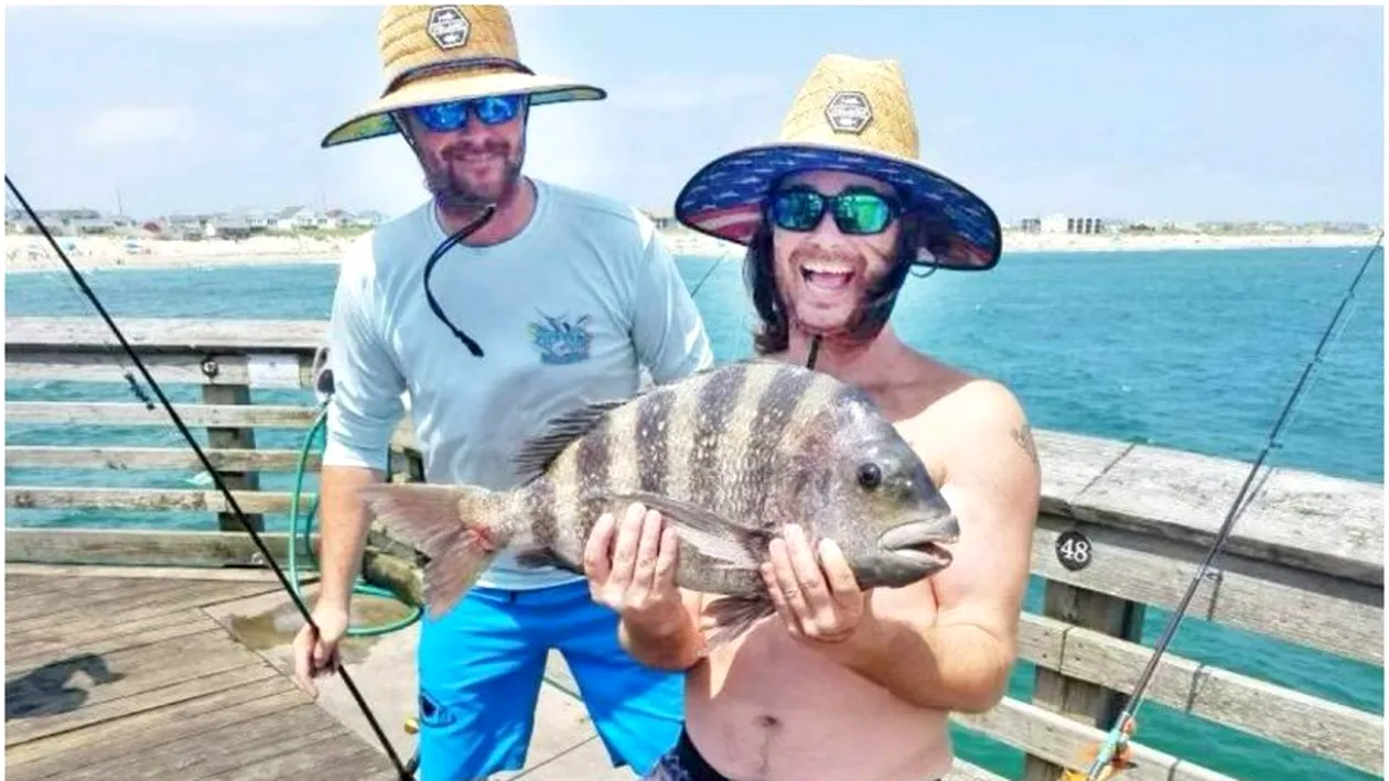 Descoperire rară. Un pește cu dinți umani a fost prins în Carolina de Nord