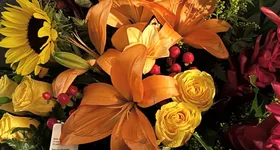 Galerie foto - poza 1