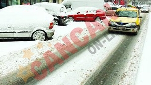 Ninge toata saptamana