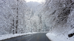 Schimbări neașteptate ale vremii! Meteorologii au anunțat cât va arăta mercurul în termometre zilele următoare