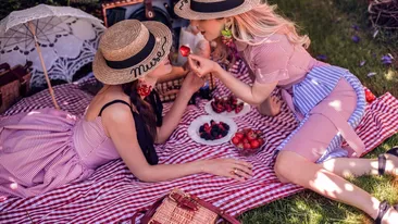 Vino la Sun’s Day Fest in Parcul Mogosoaia pentru a participa la picnicul verii! Ia-ti bilet acum!