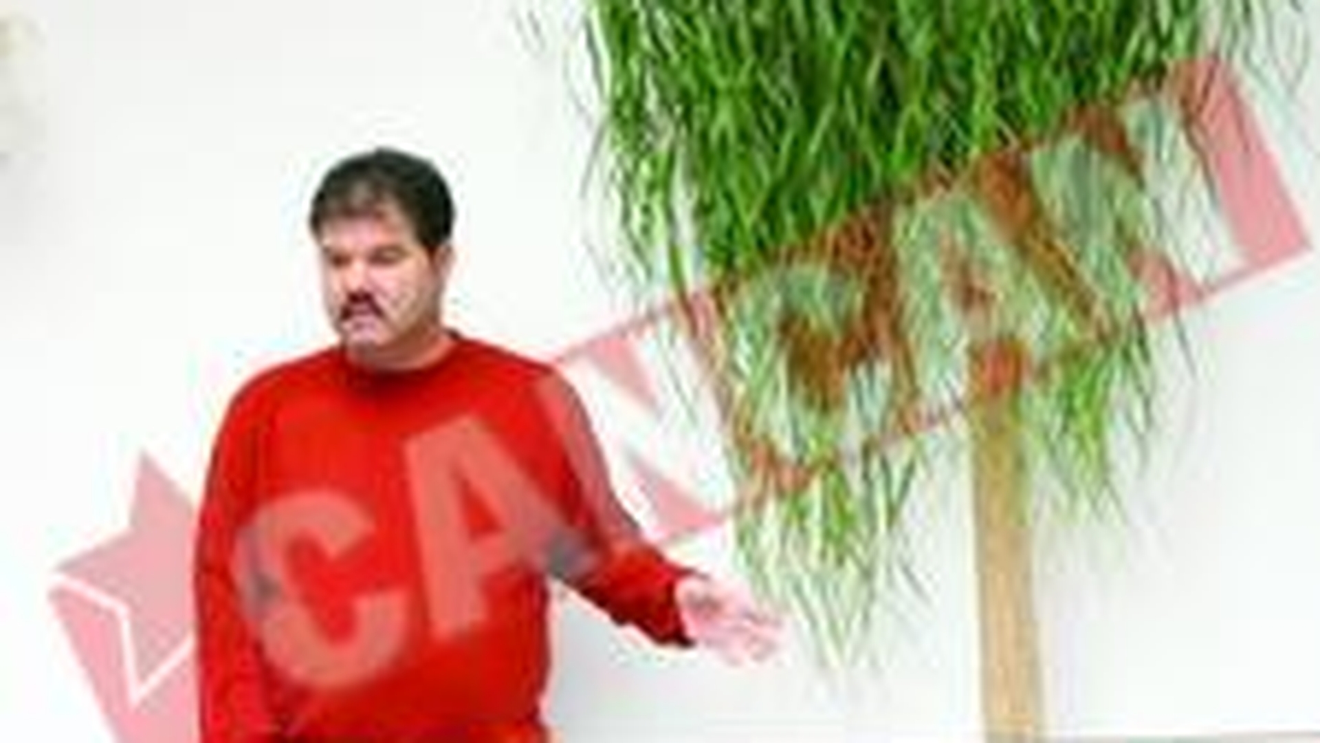 Si-a decorat vila cu plante exotice de 8.000 de euro