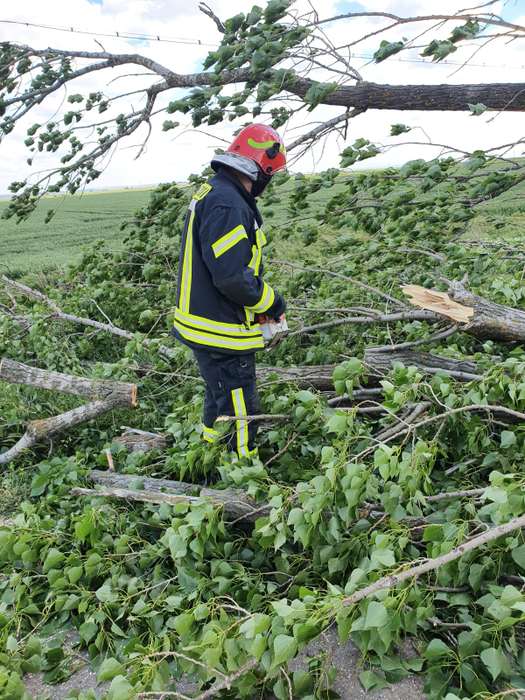 Codul galben a făcut ravagii în România. Copaci prăbușiți, drumuri blocate și mașini avariate. FOTO