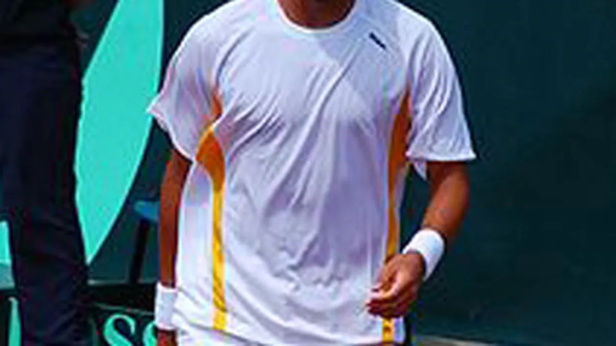 Tecau: Ar fi extraordinar sa castig finala acasa, in fata familiei, a prietenilor