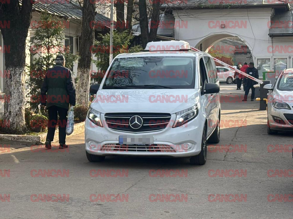 Rodica Stănoiu, din nou înmormântată, după necropsie. Trupul neînsuflețit al fostului ministru, ridicat de la INML
