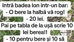 BANCUL ZILEI | Intră badea Ion într-un bar