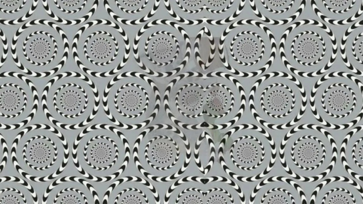 Test de inteligență | Ești un mega-geniu dacă poți numi animalul ascuns în această iluzie optică, în maximum 25 de secunde