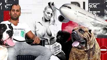 “Regele filmelor pentru adulți”, mega-proces  pentru că nu a fost lăsat să urce cu câinele în avion. Cere daune de…