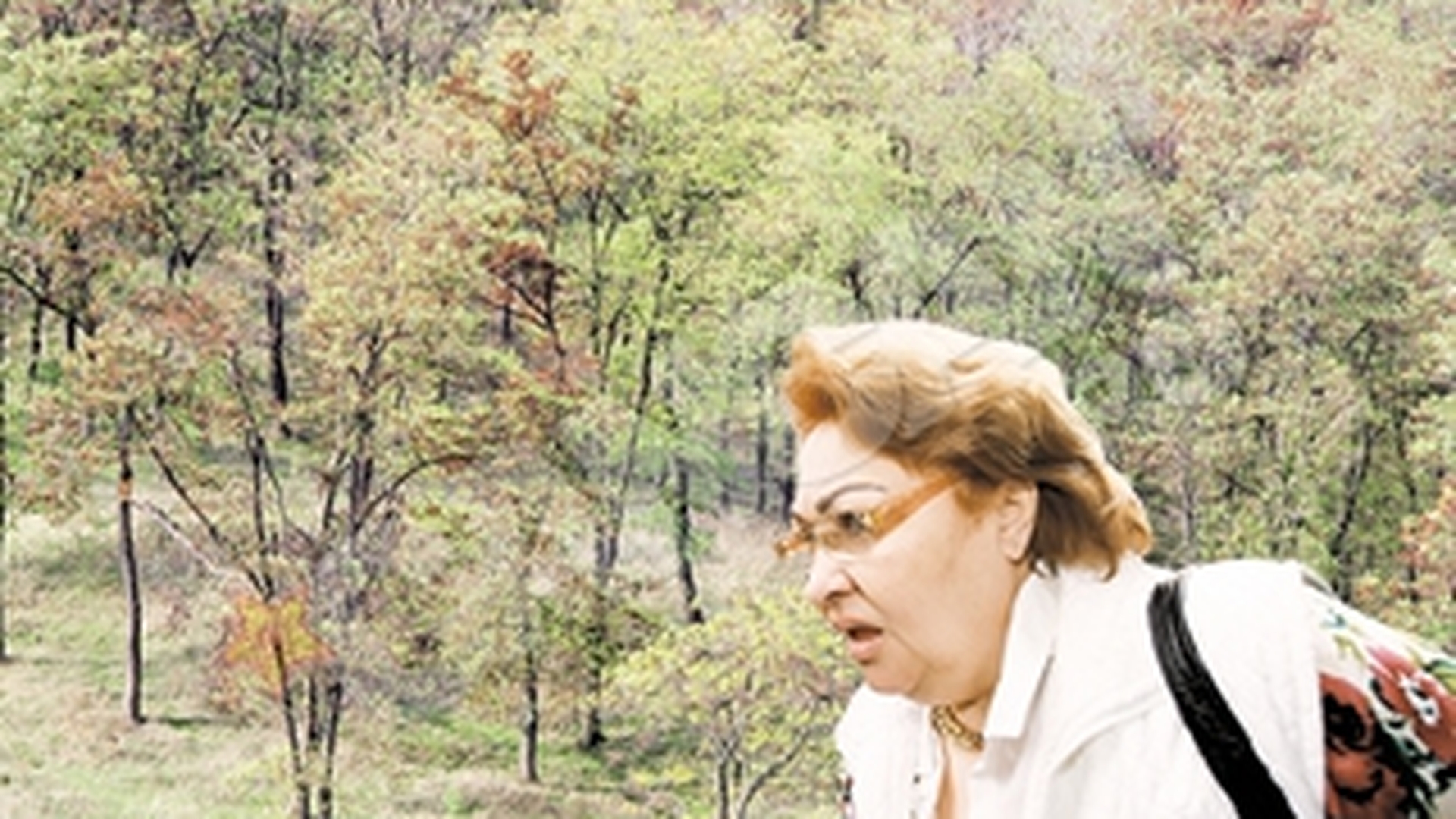 Mama Oanei Zavoranu se vrea latifundiara de Iasi