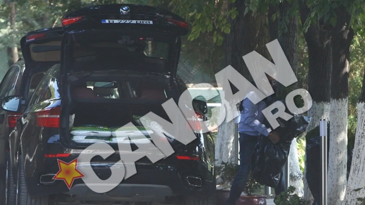 Ilie Nastase s-a pus serios pe munca la viitoarea sa academie de tenis: Am trecut la grebla, aici nu s-a mai facut nimic de 12 ani