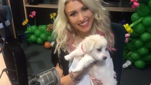 Graviduţa ANDREEA BĂLAN se ”luptă” cu foamea! Cu cine işi dispută supremaţia asupra frigiderului